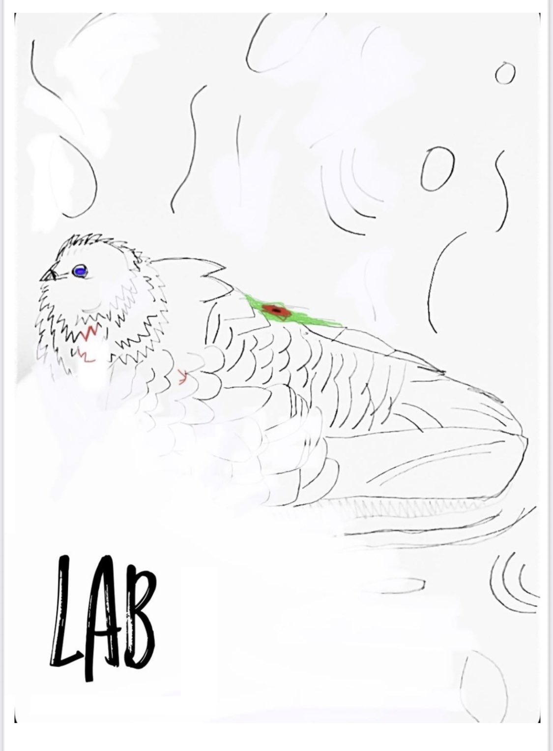 ［EVENT］山下澄人「ラボ」2025/10/25(土),26(日)