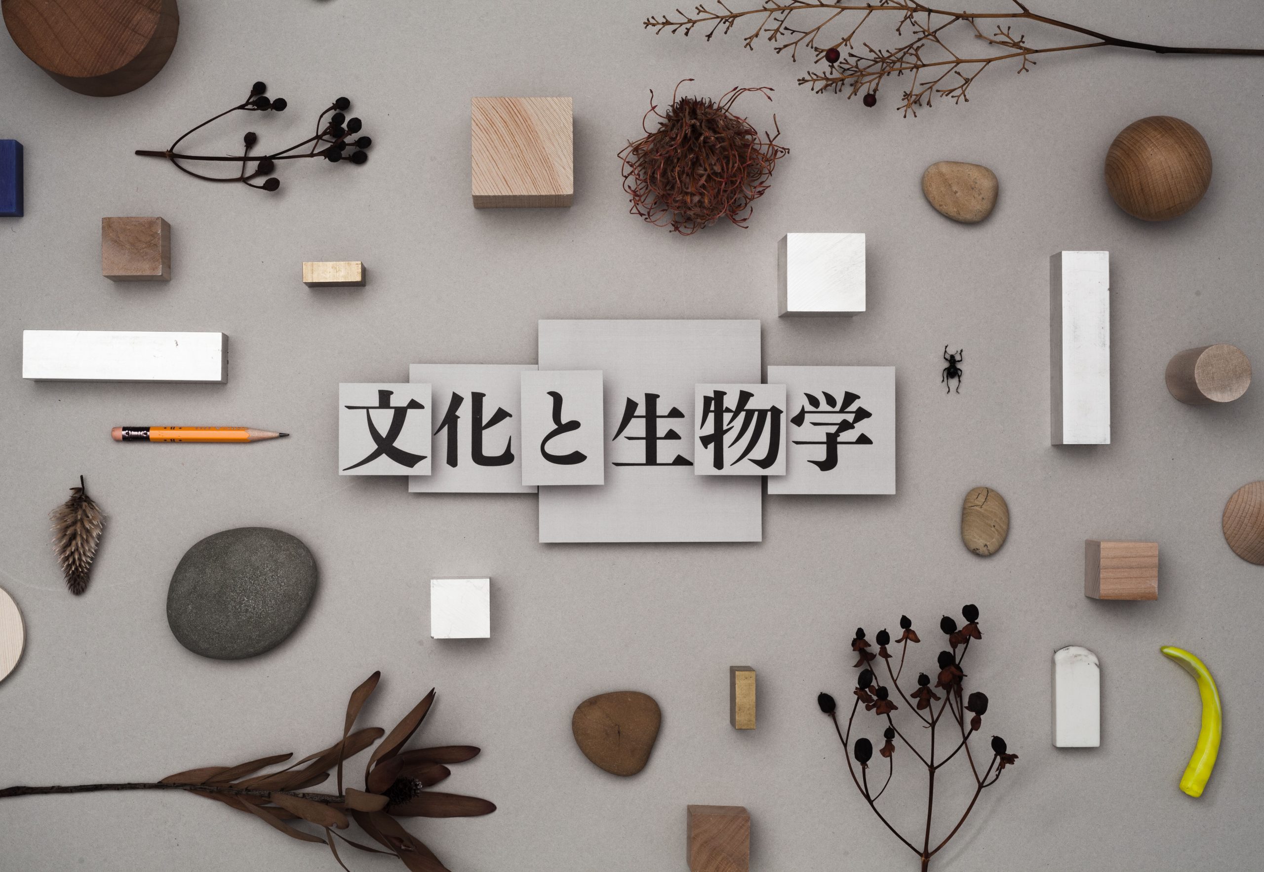 ［EVENT］会って話そう 『文化と生物学』ブッククラブ 2025/11/29(土)17:00-19:00